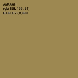 #9E8851 - Barley Corn Color Image